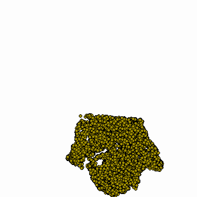 Export Image