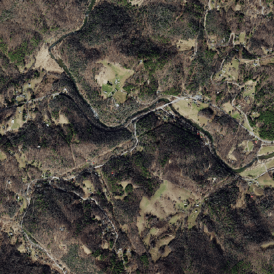 Export Image