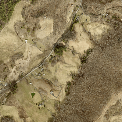 Export Image